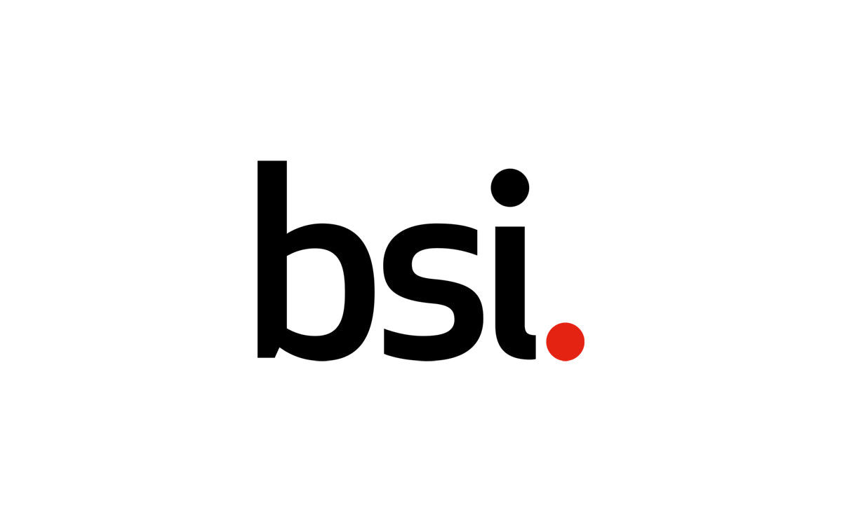 British Standard Locks (BSI)