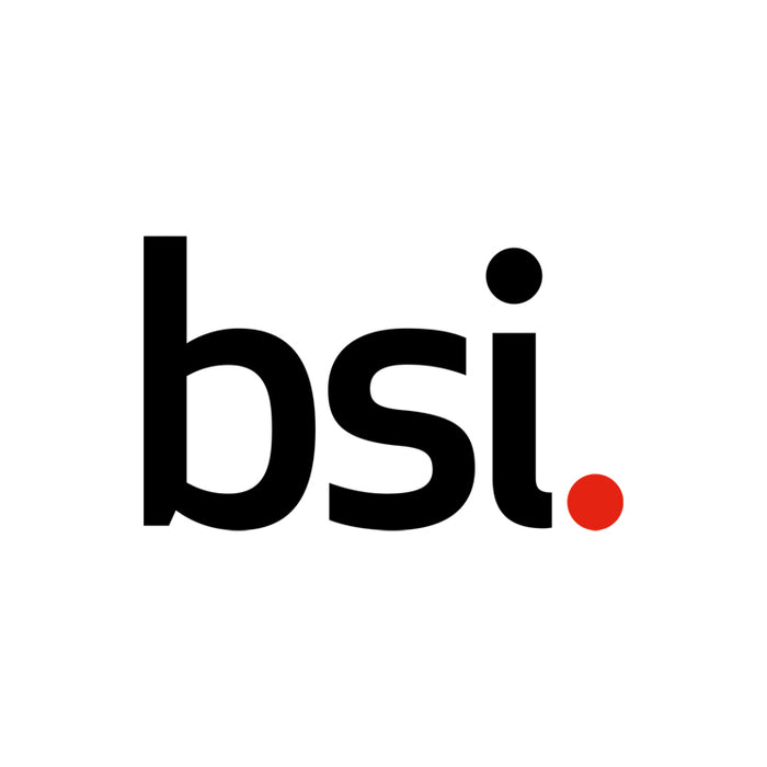 British Standard Locks (BSI)